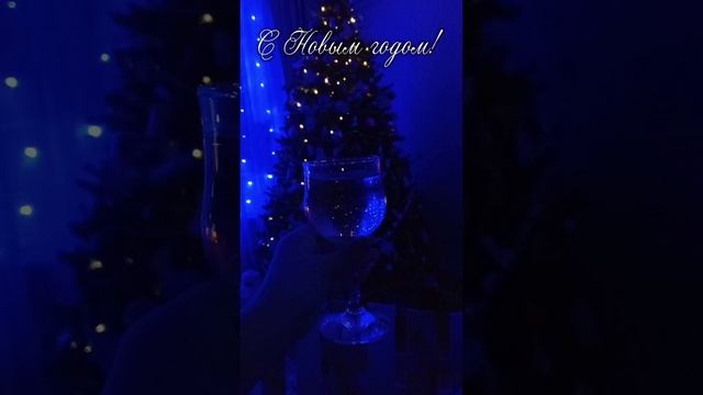 lv_0_20250102195213.mp4
