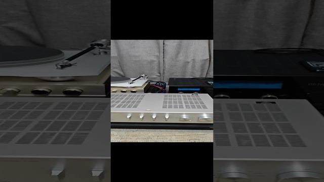 CORAL DX-SEVEN/II & Yamaha A-S501