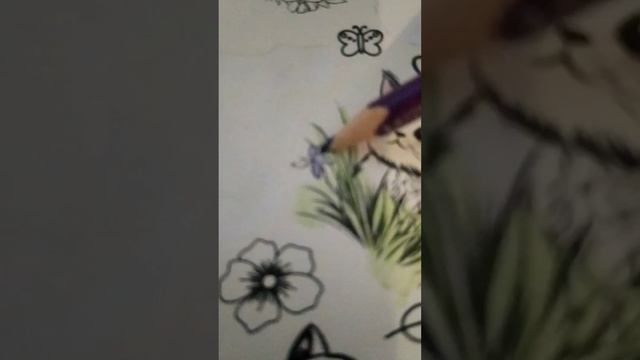 VID_20250102_151706(0).mp4