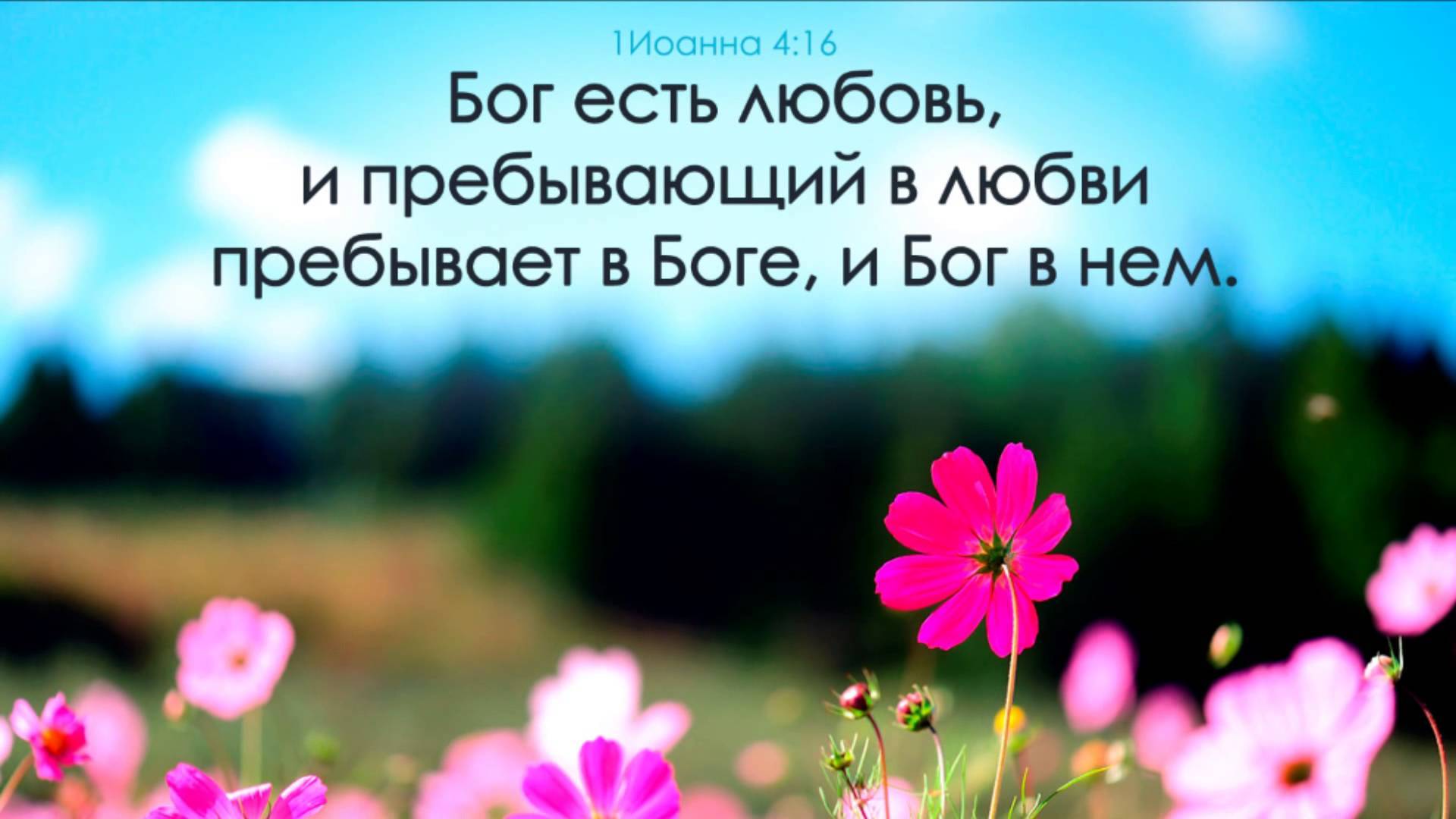 Ибо с нами Бог.