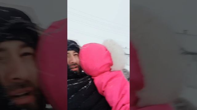 #котики #горки