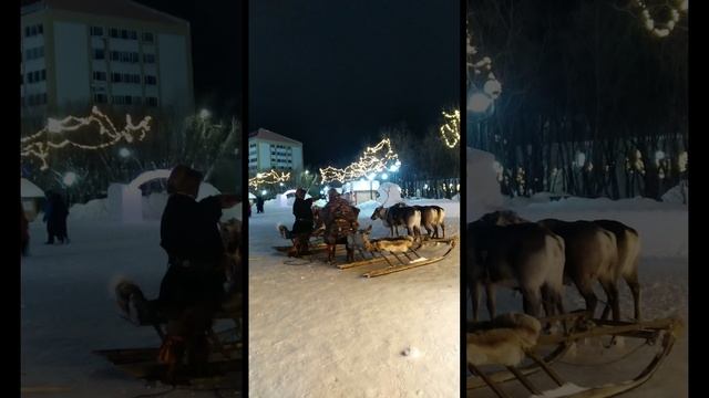 2025-01-01-204407842.mp4 Елена Дружиненко Сказочная Воркута и главные герои Олени!!!
