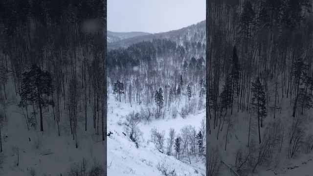 Бердские скалы