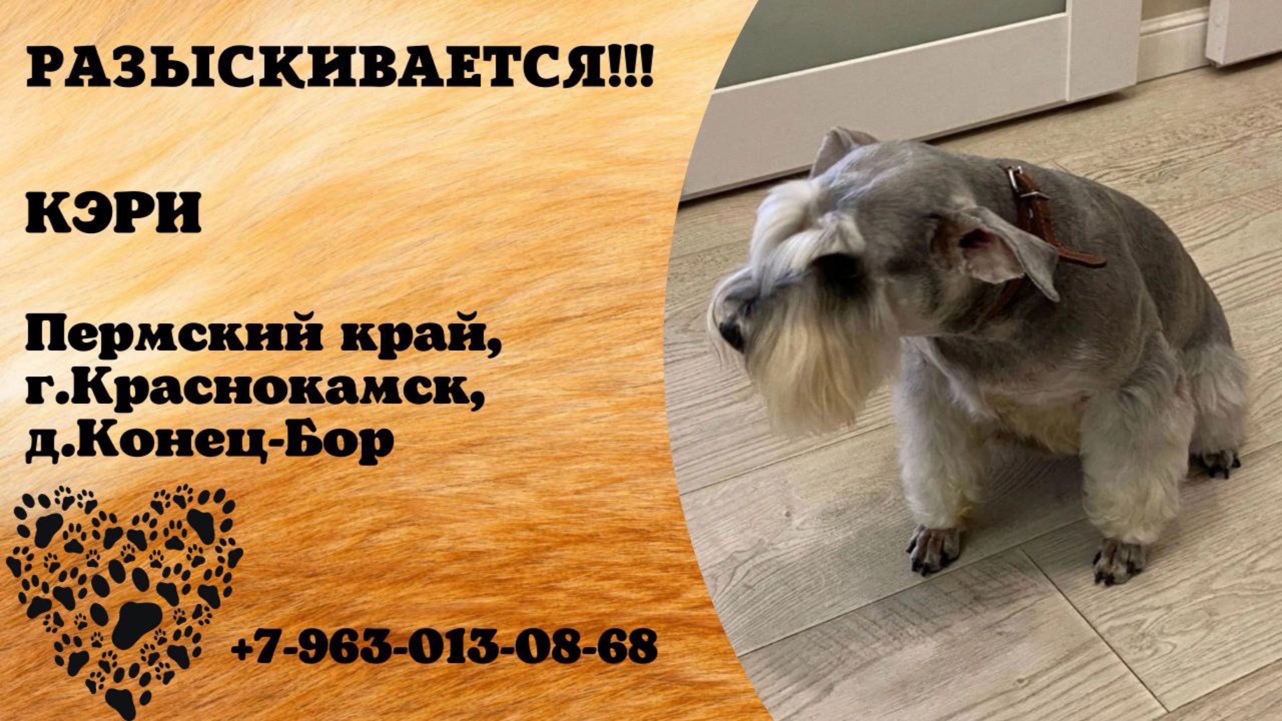 Пропала собака! КЭРИ. Пермский край, г.Краснокамск.
