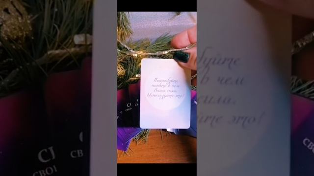 lv_0_20250102065721.mp4