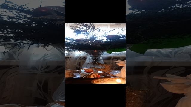Таро.Что вы скоро измените в своей жизни.