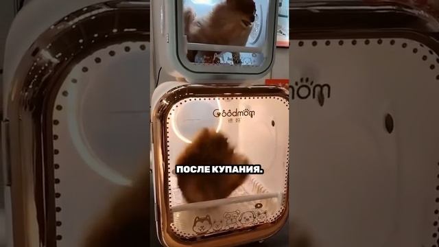 1000025716.mp4