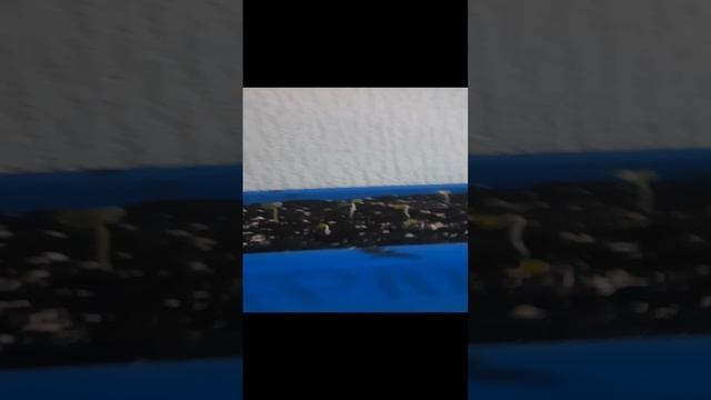 Что посадить в декабре?