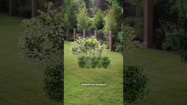 МОДНЫЕ КОМПОЗИЦИИ В САДУ для зонирования!