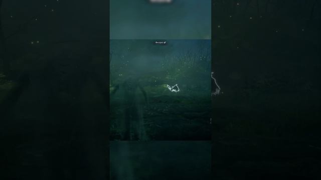 Разводим Фестралов!  #twitch  #hogwartslegacy #shorts