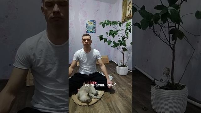 хочешь медитировать. спроси меня как