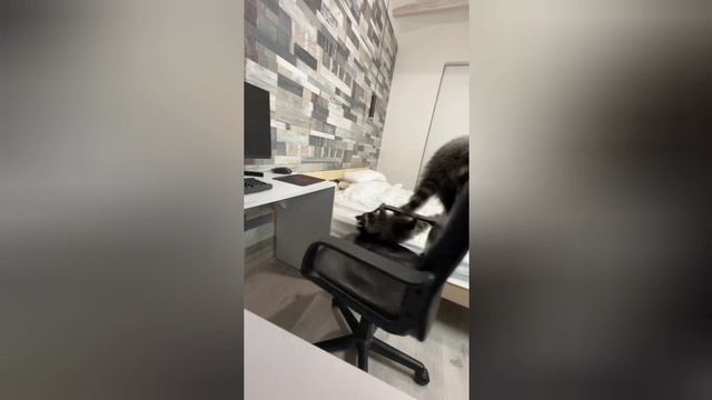 1000057765.mp4