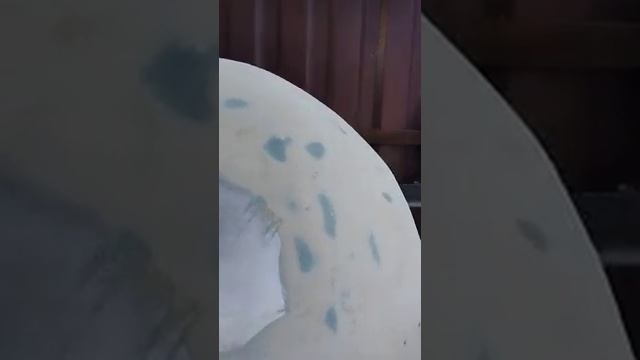 рундук в прицеп дачу