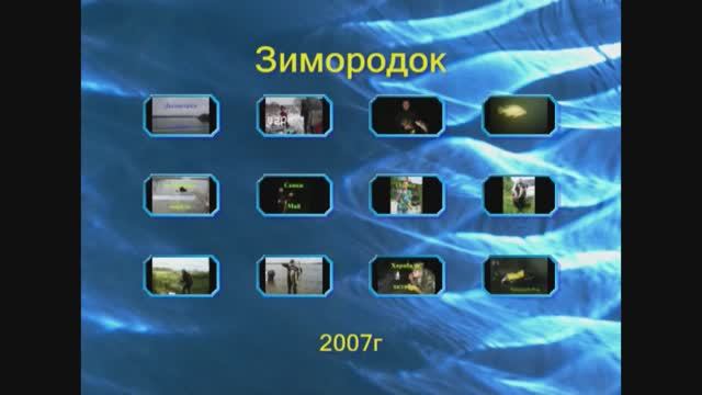 Зимородок 2007г