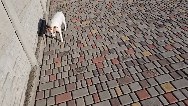 Светлана принесла на работу!