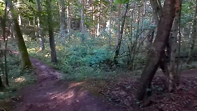 Прогулка по велотрассе 12 км