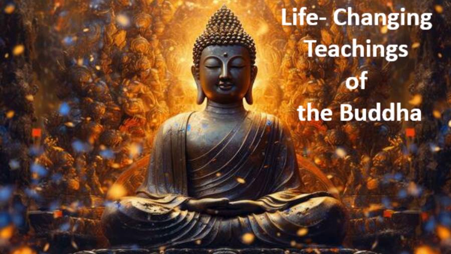 From Suffering to Happiness: Life Lessons From the Buddha