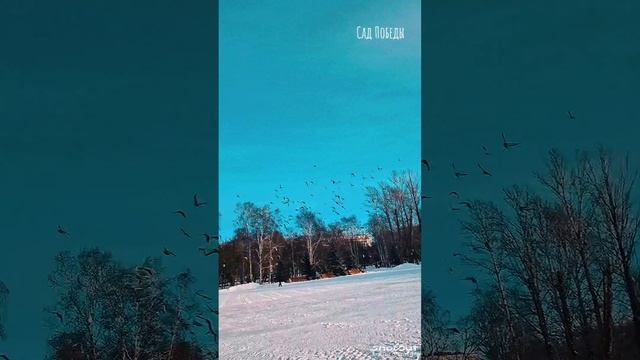 Сад Победы