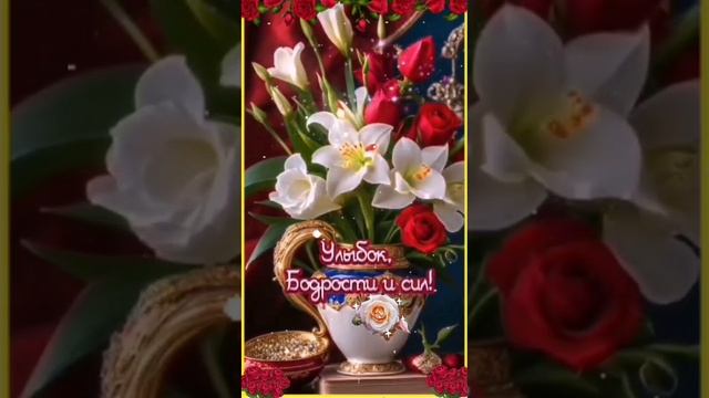 Video.Guru_20250103_073945612.mp4