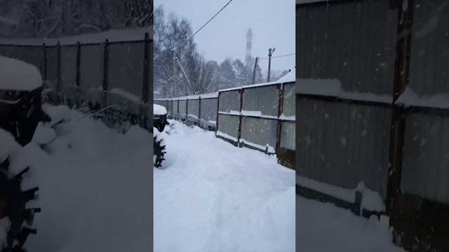 Красавица зима ❄️❄️❄️