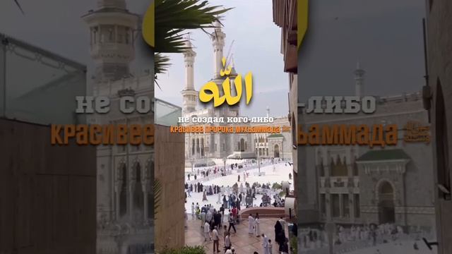 Внешность Пророка Мухьаммада ﷺ