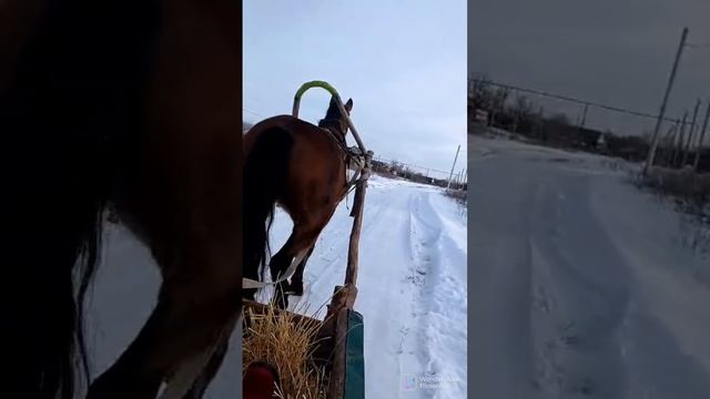 Стреляй Глеб Егорыч, стреляй!
