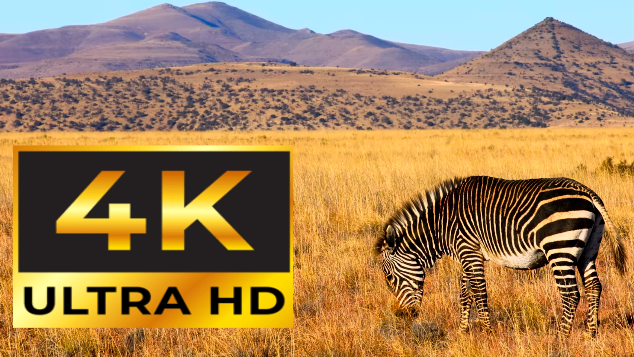 4К ultra HD 60FPS