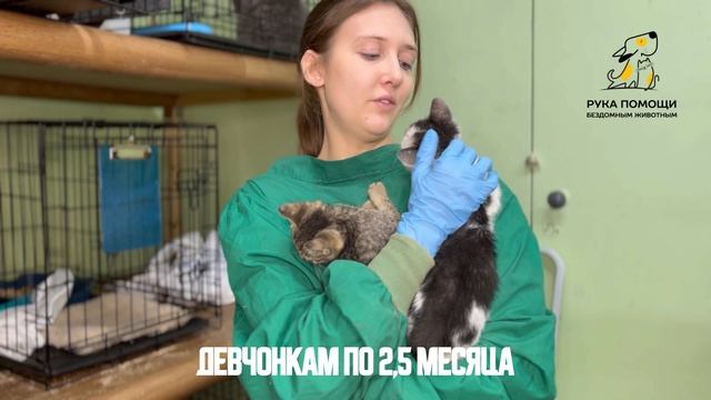 Недолго пустело место в блоке лишая. Поддержать ⬇️