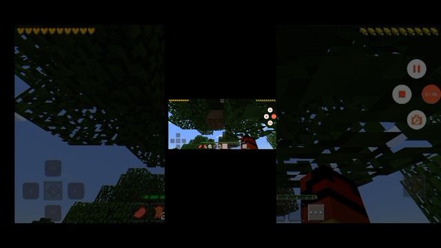 1000002088.mp4