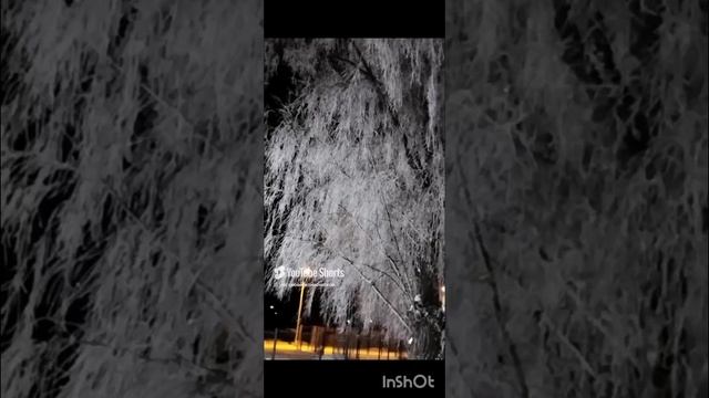 Зимние красоты Омска