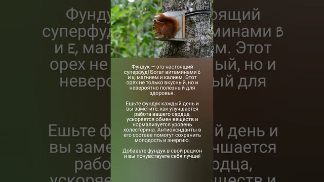 Польза фундука 🤗🌰🐿️