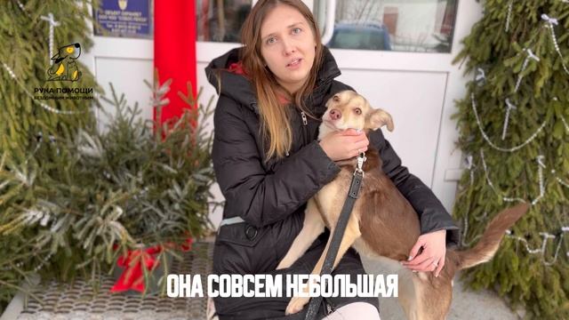 Очаровательная Пенни остается незамеченной. Поддержать ⬇️