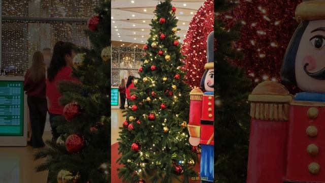 New Year's trees, Moscow, Chertanovo Central district, Kirovogradskaya street, 13A 02.01.2025