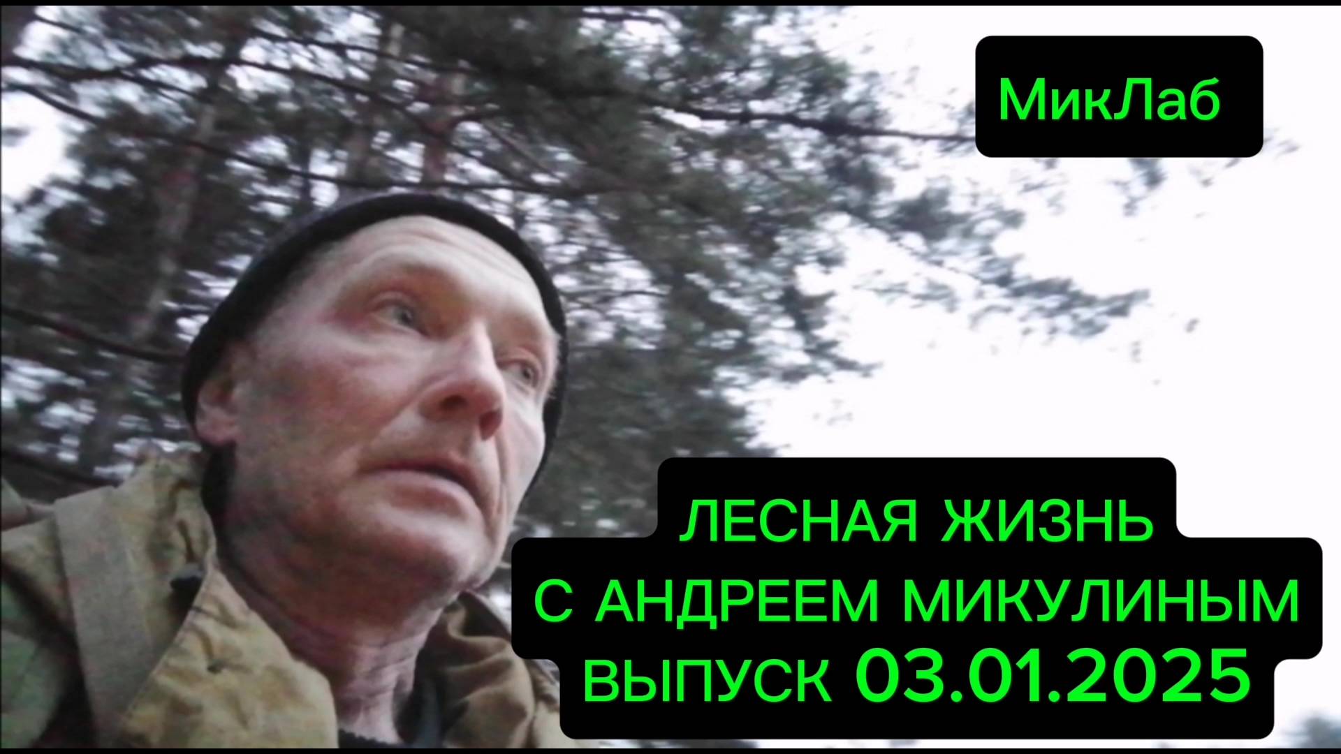 Лесная Жизнь с Андреем Микулиным. Выпуск от 03.01.2025. МикЛаб