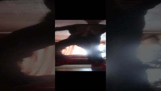 1000041202.mp4