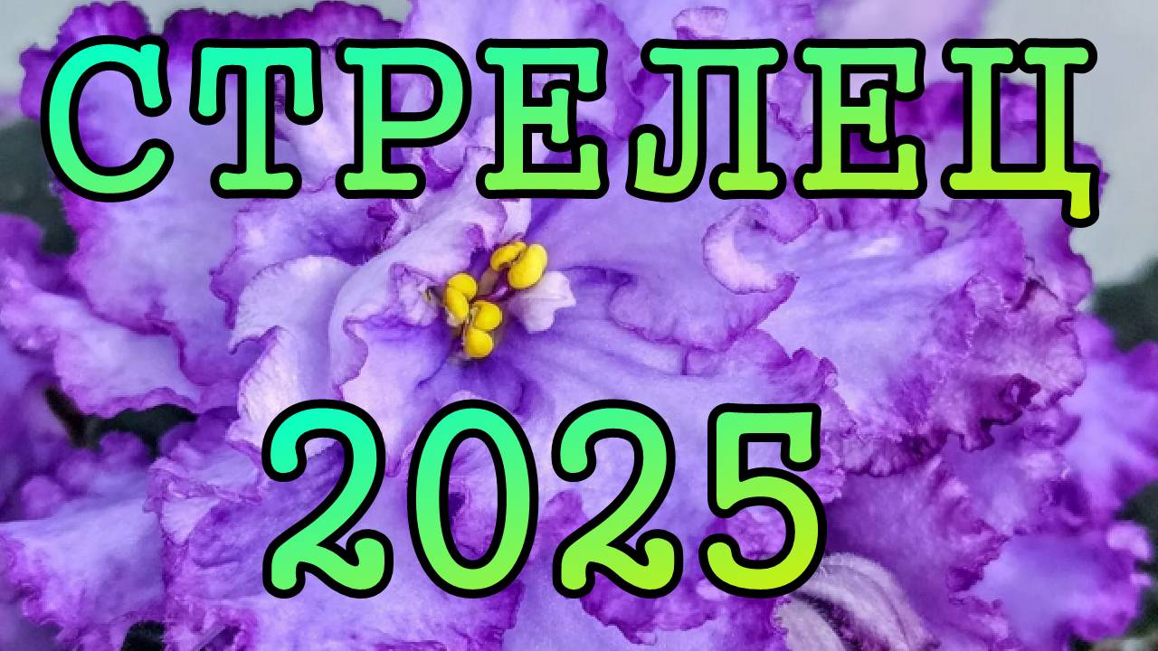 СТРЕЛЕЦ таро прогноз на 2025 год по месяцам.