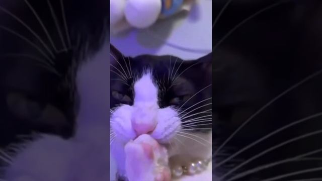 Внимание. Вас соблазнили! Спасибо за внимание😏
