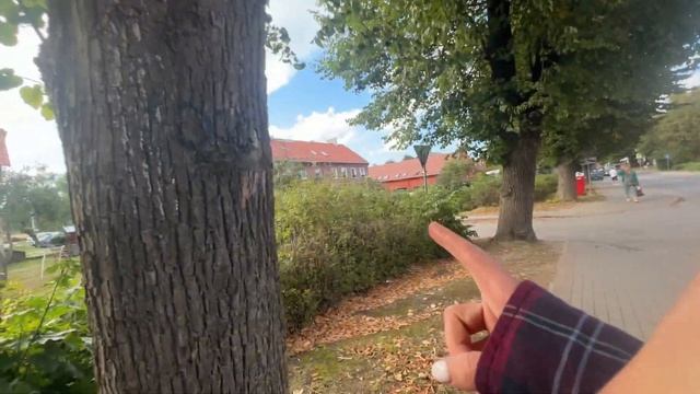 Светлогорск - Янтарный - Балтийск