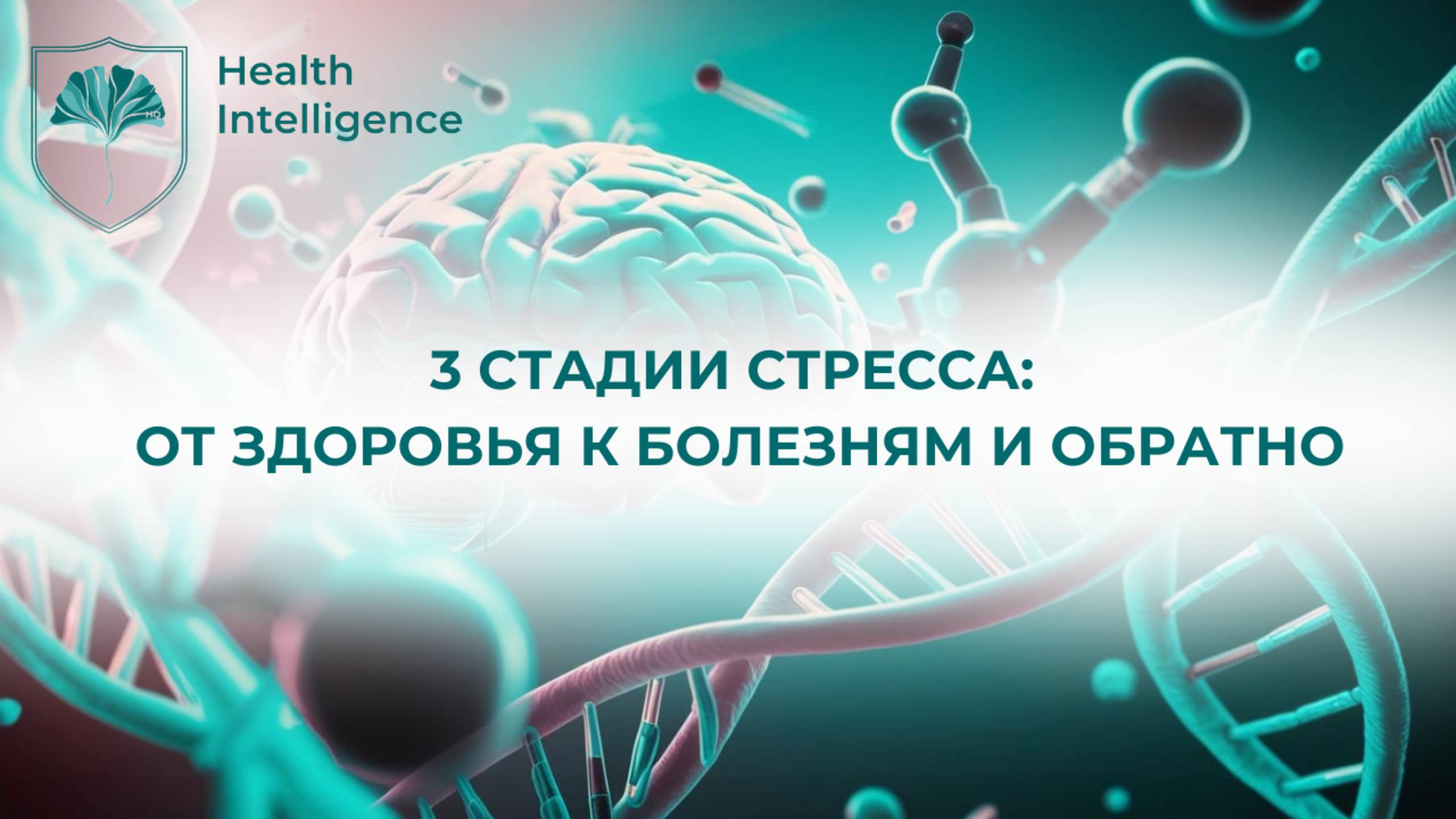 Что такое хороший и плохой стресс и его 3 стадии
