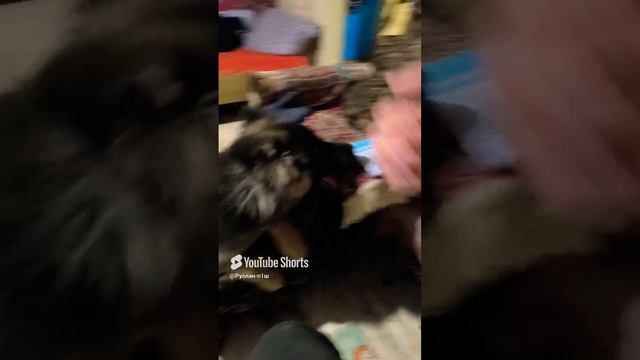 1000004860.mp4