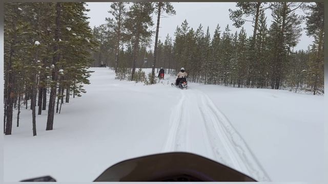 Снегоходы в Ноябрьске