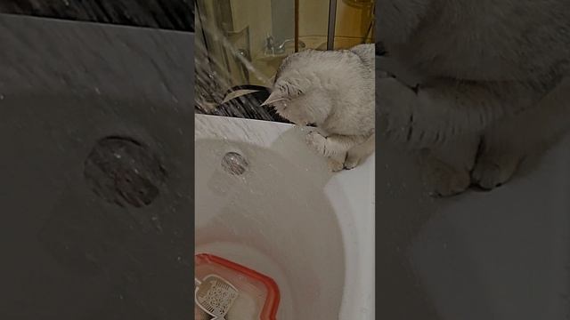 Подобрали...обогрели...напоили
