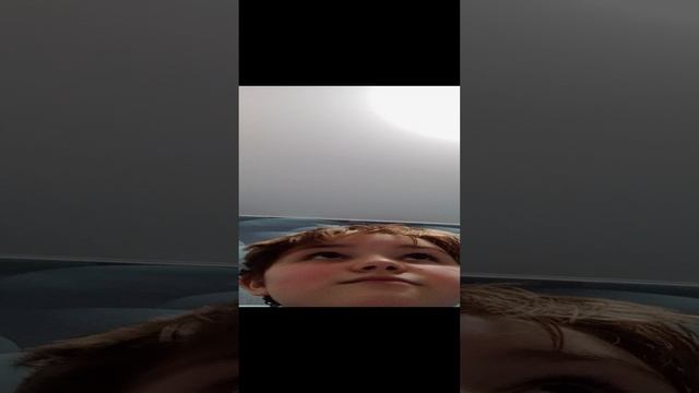 колабба