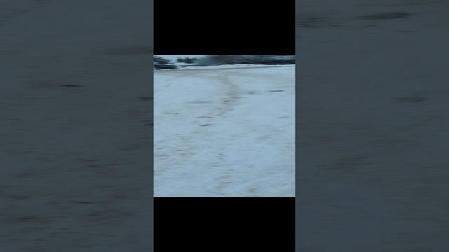 прогулка