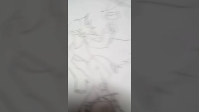 lv_0_20250103110114.mp4