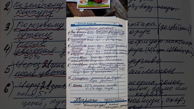 график обработки сада от болезней и вредителей