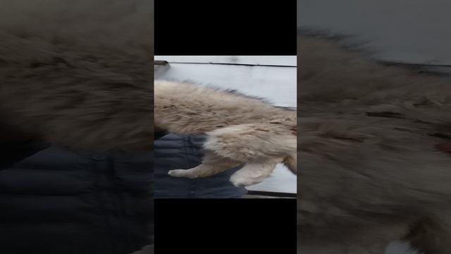 1000015946.mp4
