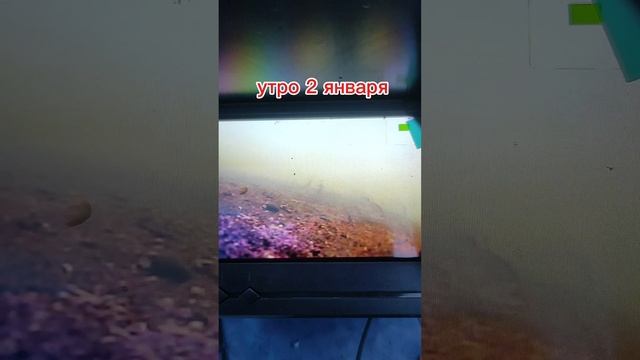 2 января про рыбалку