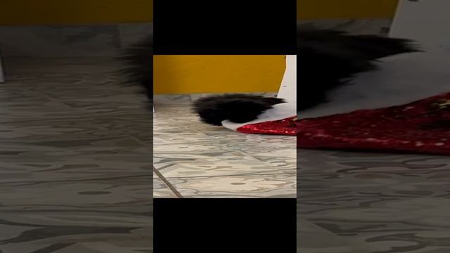 1000075897.mp4