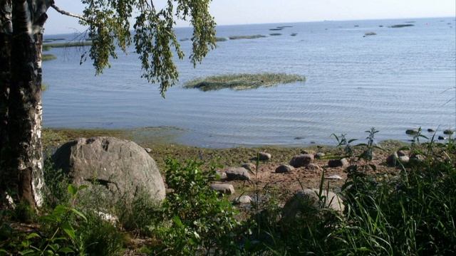 Евгений Дога - Сонет- Санкт-Петербург - Петергоф - Новгородская область
